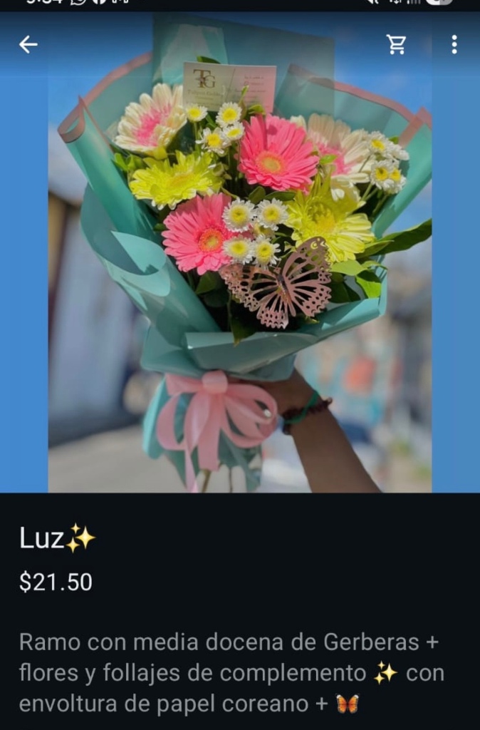 Luz
