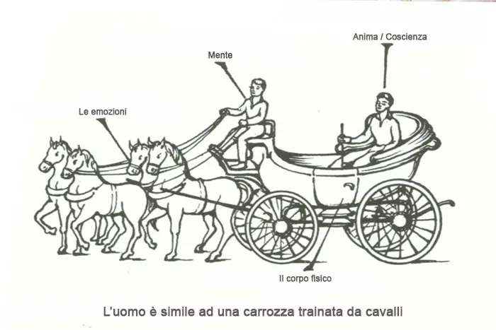 Alimentation émotionnelle - la métaphore de la calèche de Gurdjieff