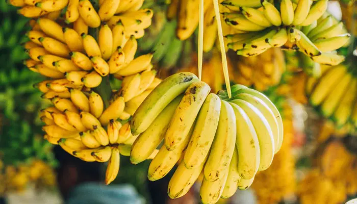 Qu'arrive-t-il au corps en mangeant des bananes tous les jours
