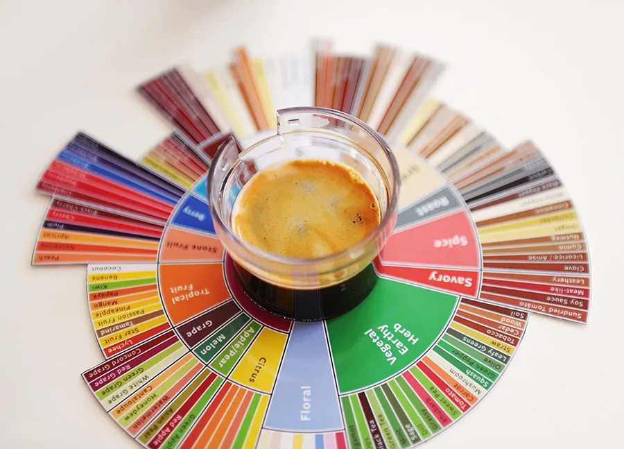 Comment choisir un café de spécialité : la roue des arômes