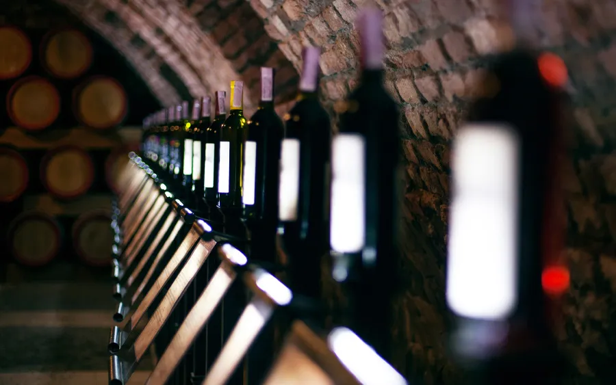 terroir grands vins et biodiversité
