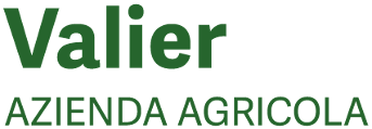 Valier
