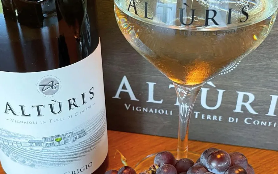 Pinot grigio DOP Vin blanc du Frioul vol 12,5% - Alturis, bouteille de 750 ml