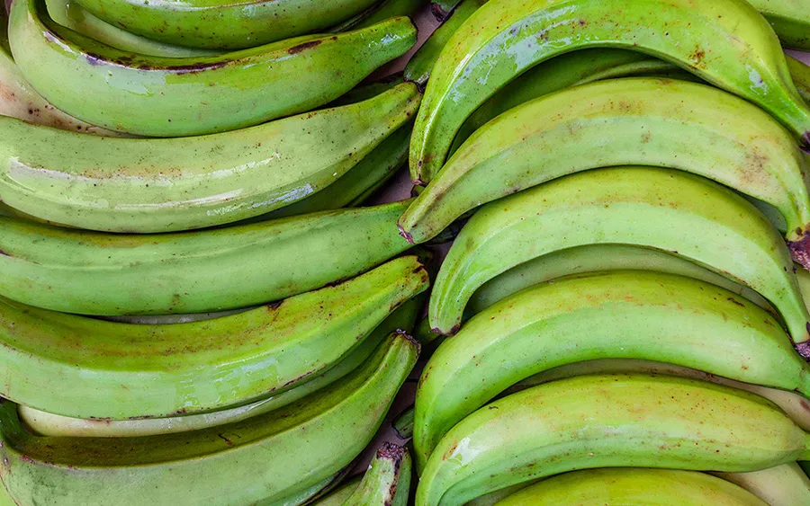 Chips de plantain vert Redondas - Plantains - pack sans gluten. 60g