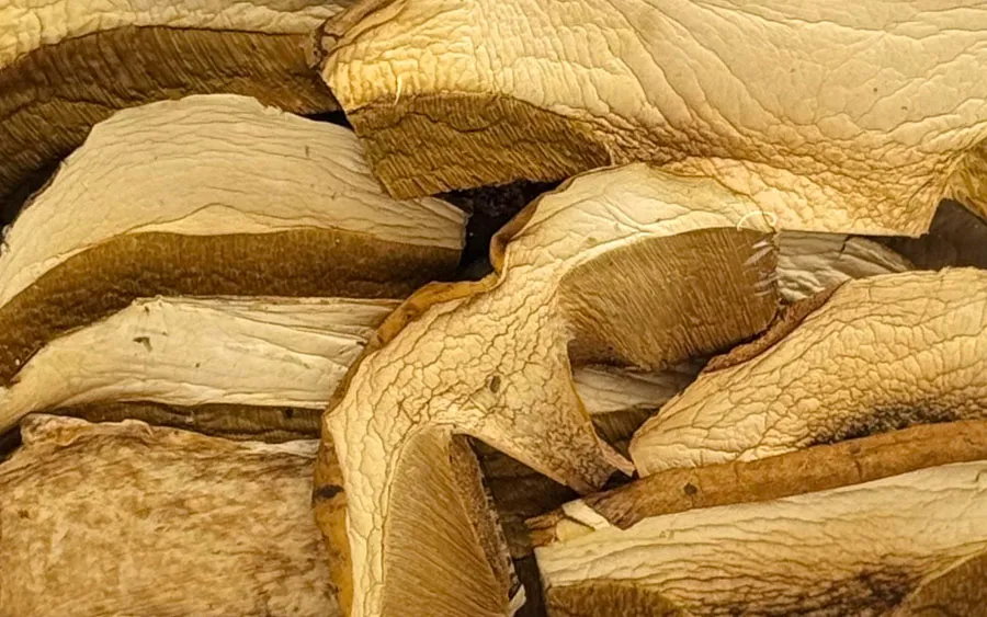 Champignons de Paris séchés, qualité supérieure - Oliveri, sachet de 40 g