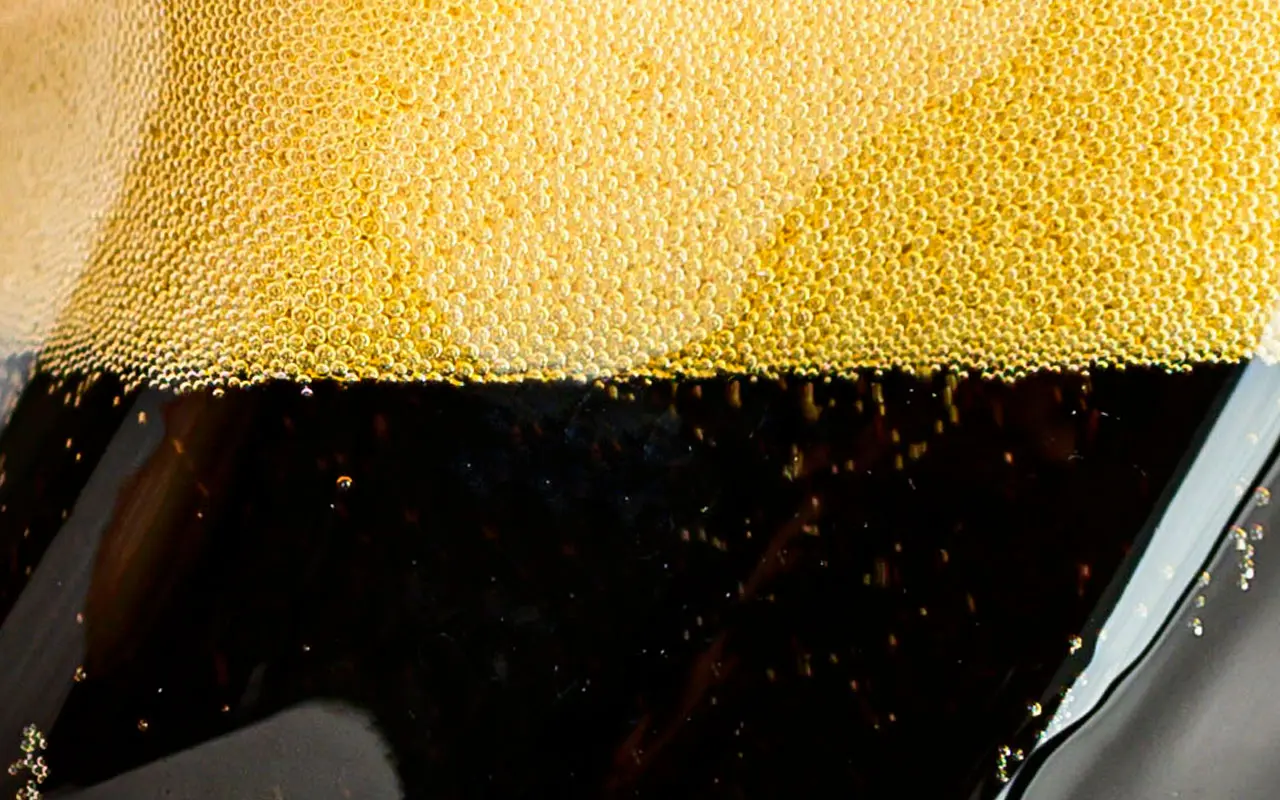 Bière noire - Gjulia Sud - Alturis, bouteille 33 cl