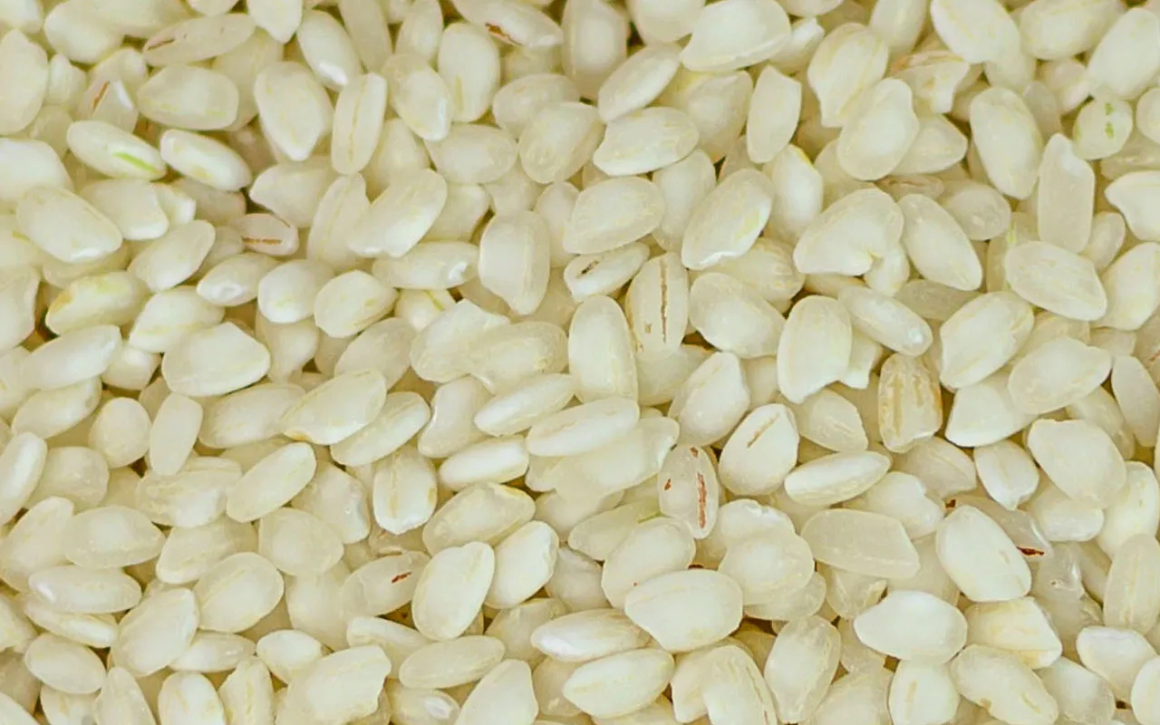 Riz blanc Vialone nano - Azienda Agricola Venerìa paquet de 1 kg