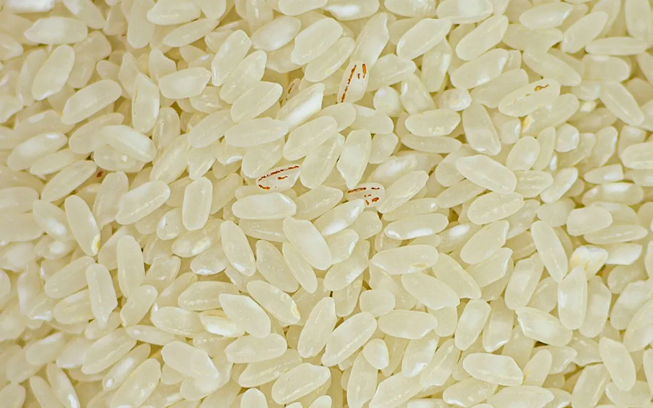 Riz Baldo - Azienda Agricola Venerìa paquet de 1 kg