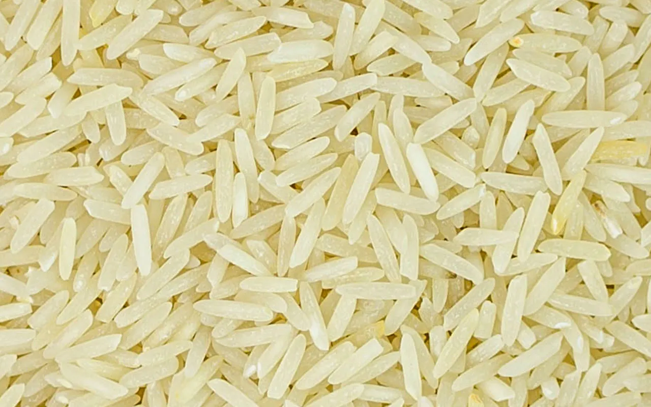 Riz Basmati - Azienda Agricola Venerìa paquet de 1 kg