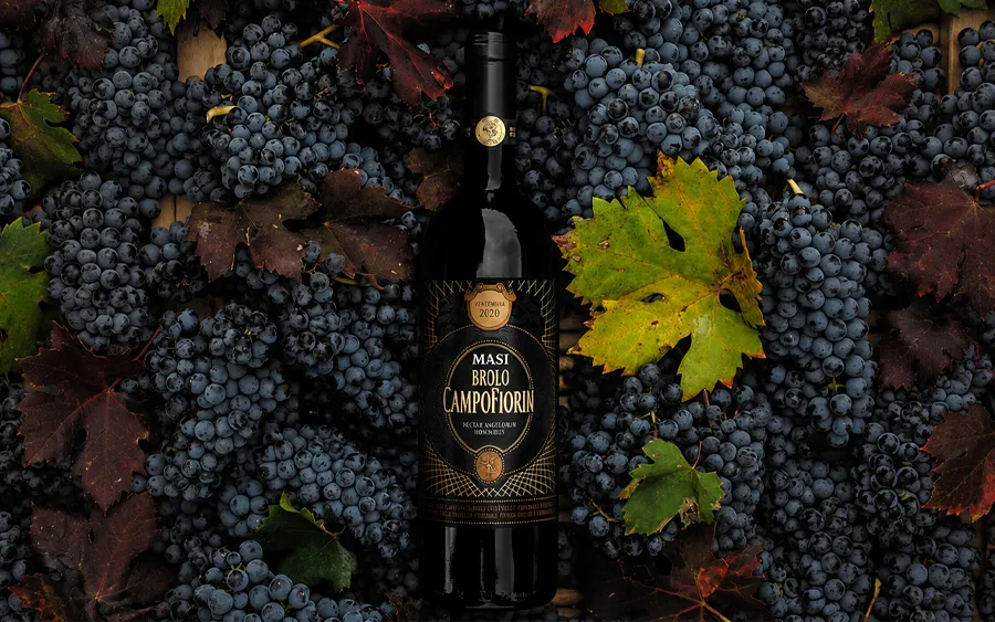 Brolo Campofiorin Rosso Vérone IGT - Masi agricola, 750 ml