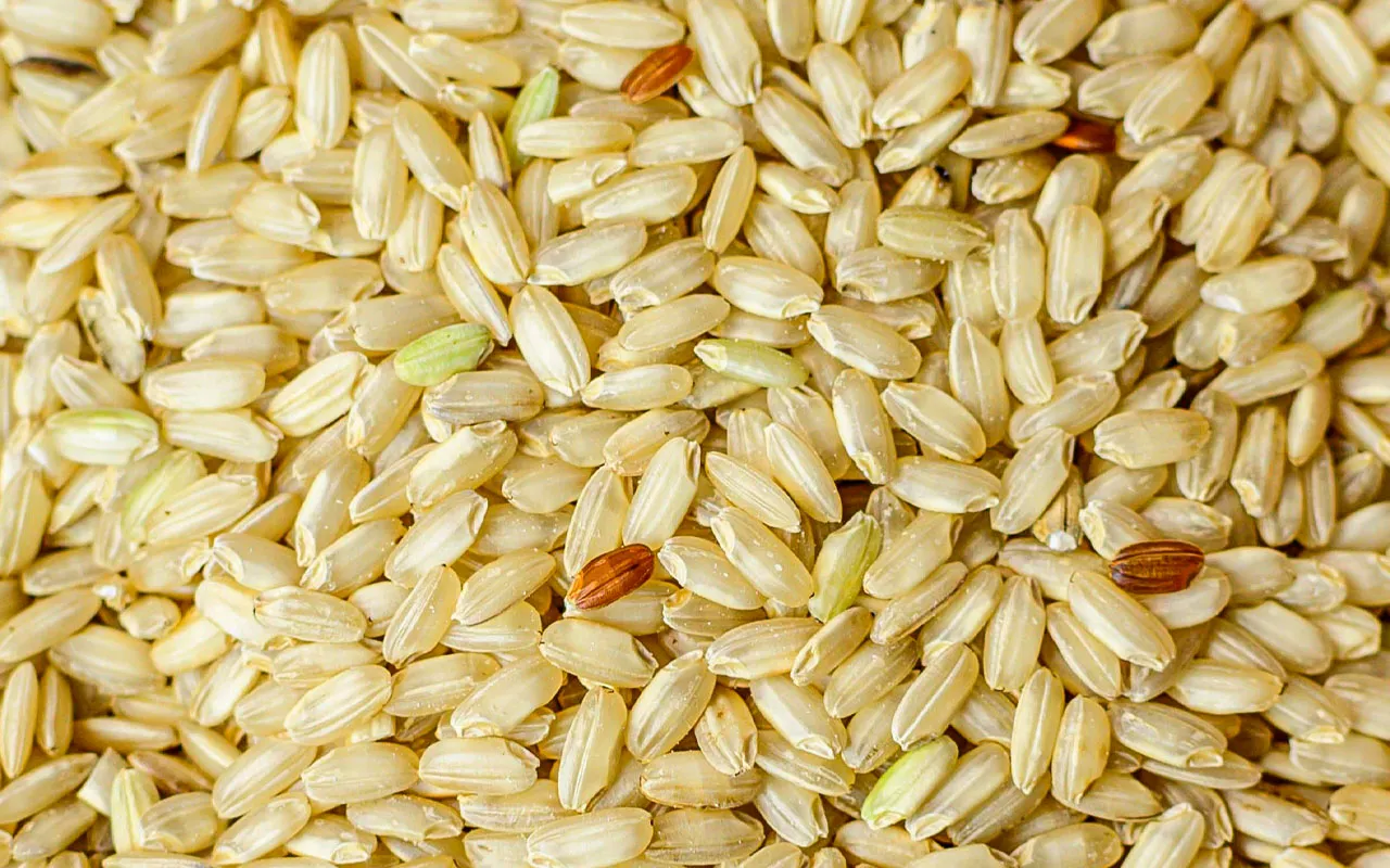 Riz brun AOP Carnaroli - Musso Farm Pack 1kg