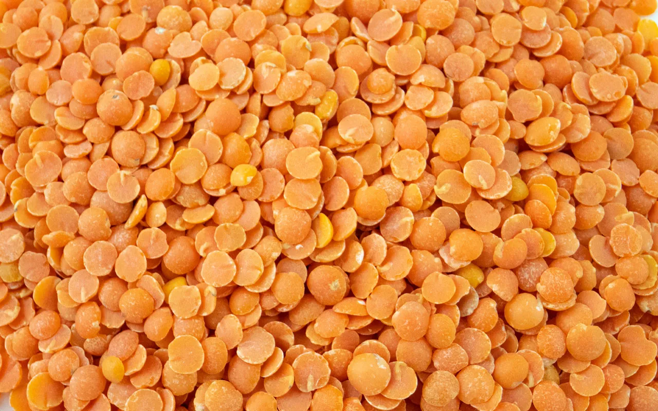 Lentilles rouges décortiquées bio - Feudi del riccio, pack. 400 gr.