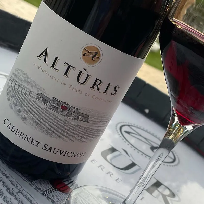Vin Cabernet Sauvignon rouge vol.13% - Alturis, bouteille 750 ml