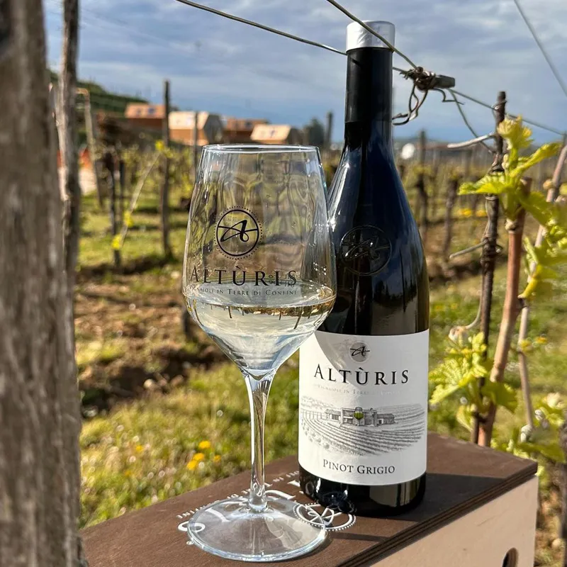 Pinot grigio DOP Friulano vin blanc vol 12,5% - Alturis, bouteille de 750 ml
