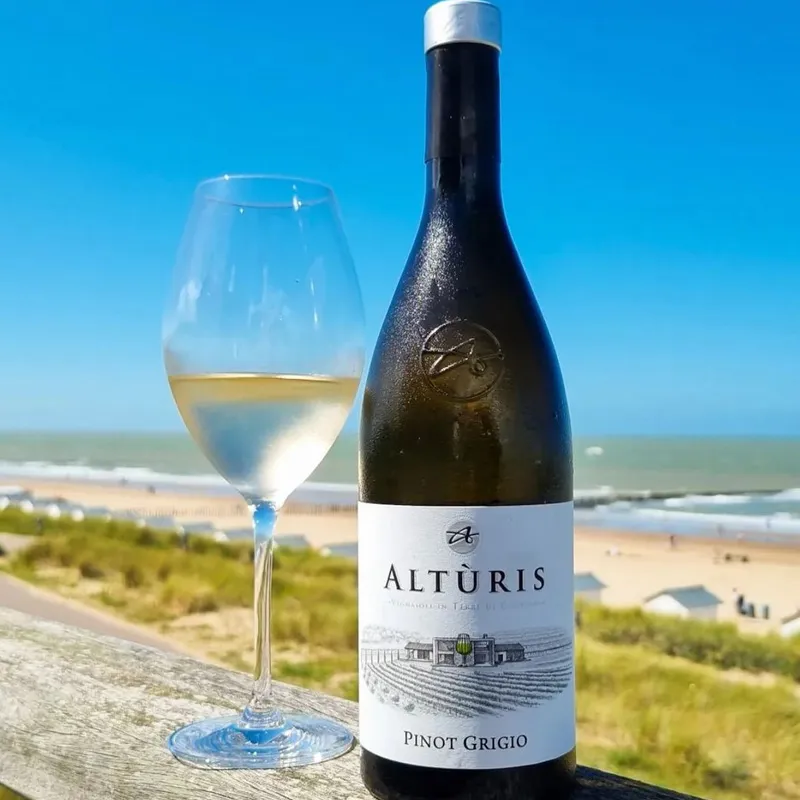 Pinot grigio DOP Vin blanc du Frioul vol 12,5% - Alturis, bouteille de 750 ml