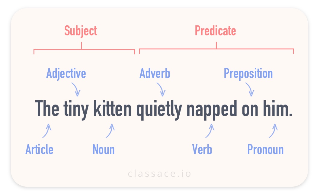 Parts of Speech Review 2 Sentence Diagram Preposition Pronoun Article Adjective Noun Adverb Verb Subject Predicate