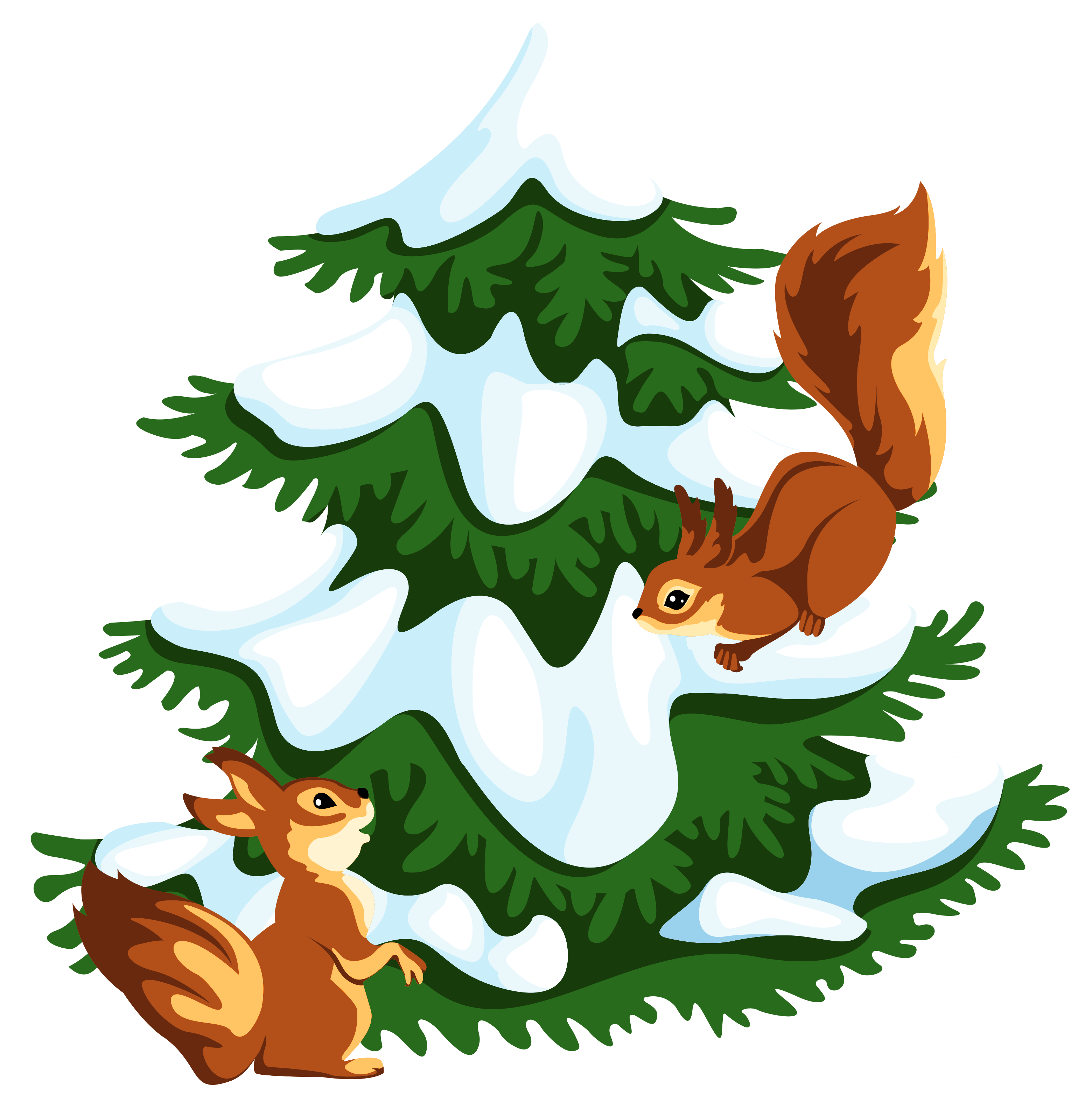 Squirrels on a snow covered tree