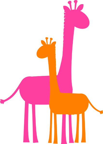 A tall and a short giraffe