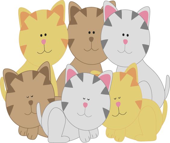 Six chatons