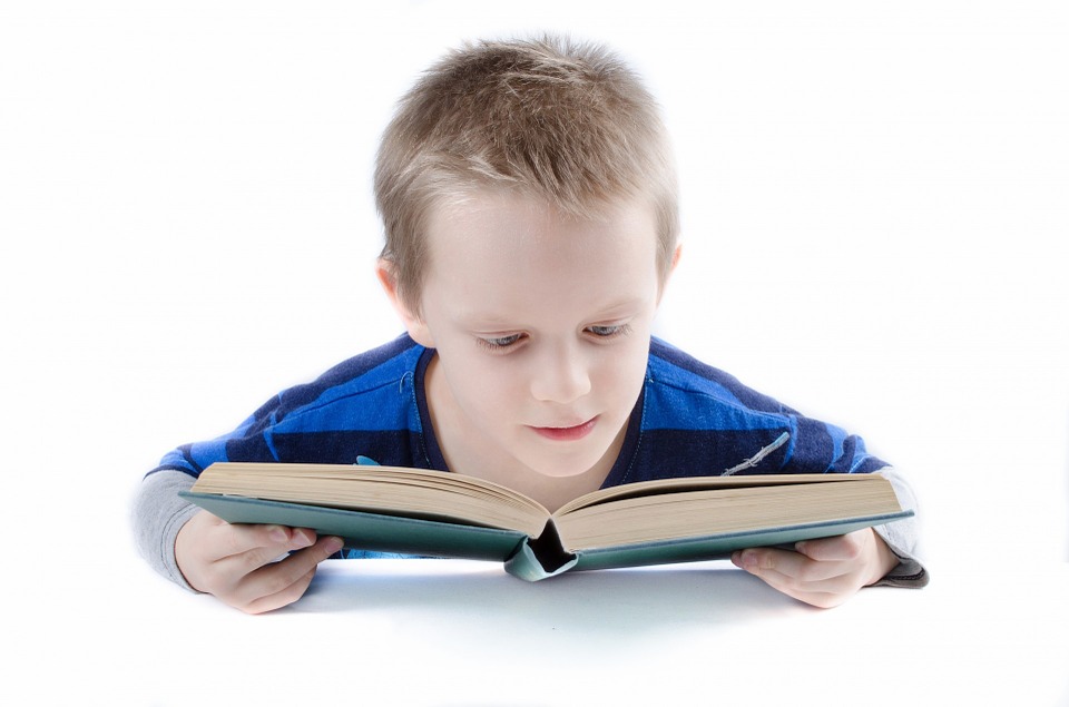 boy reading a book