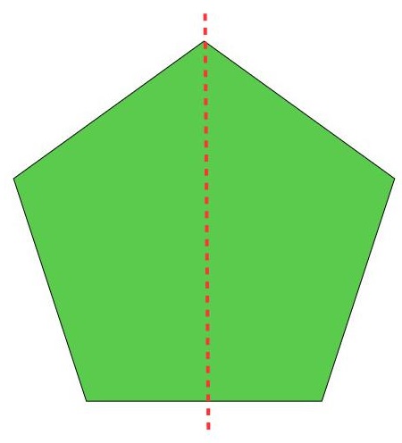 Symmetry | 3rd Grade Math | Class Ace