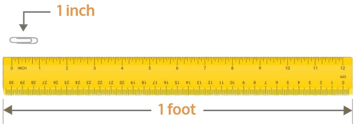 inch and foot, paperclip and ruler diagram
