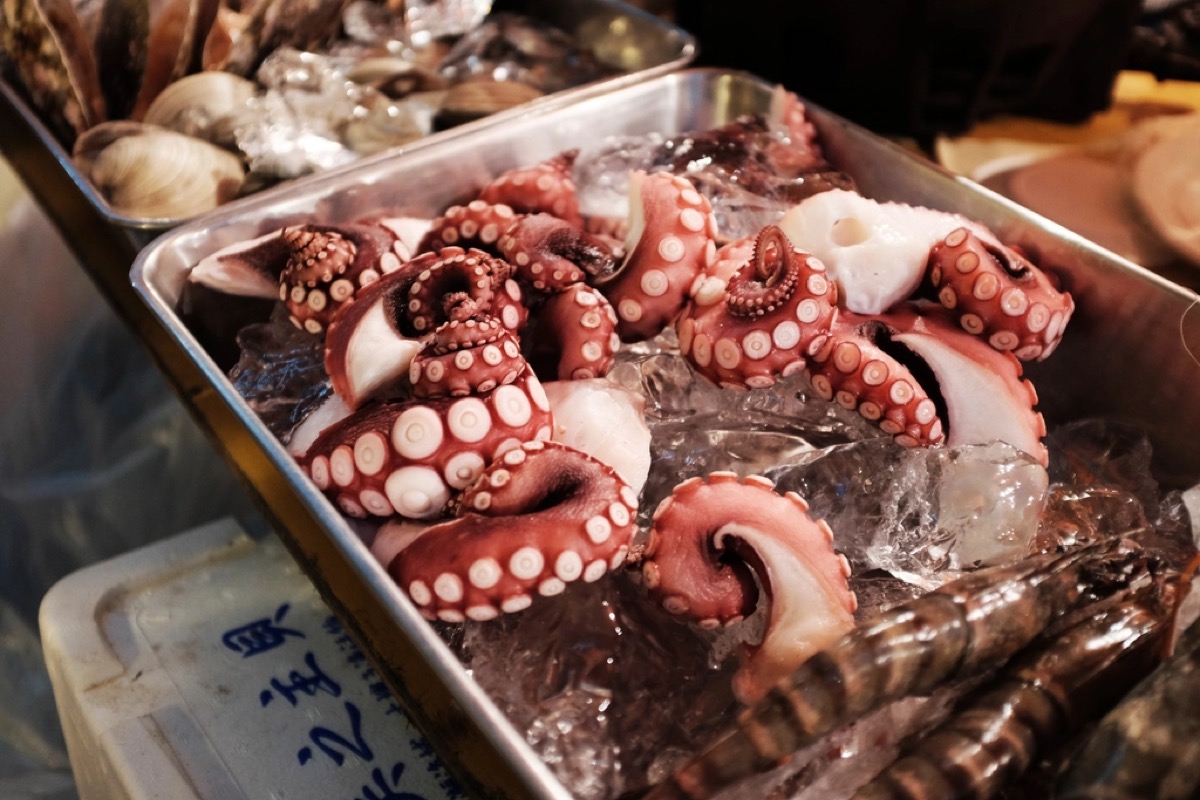 明石のマダコ 約1.2kg