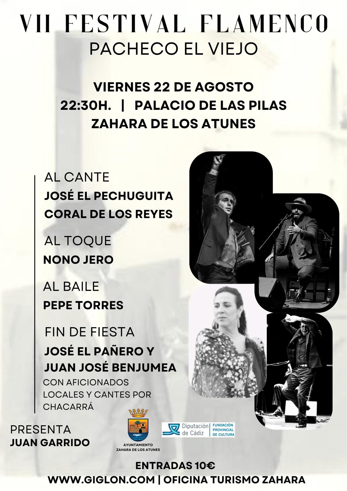 VII Festival de Flamenco Pacheco El Viejo