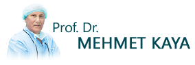 Prof. Dr. Mehmet KAYA
