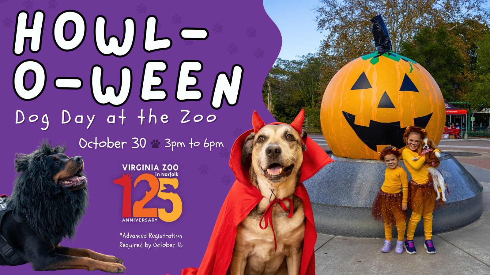 Howl-o-ween: Dog Day at the Zoo