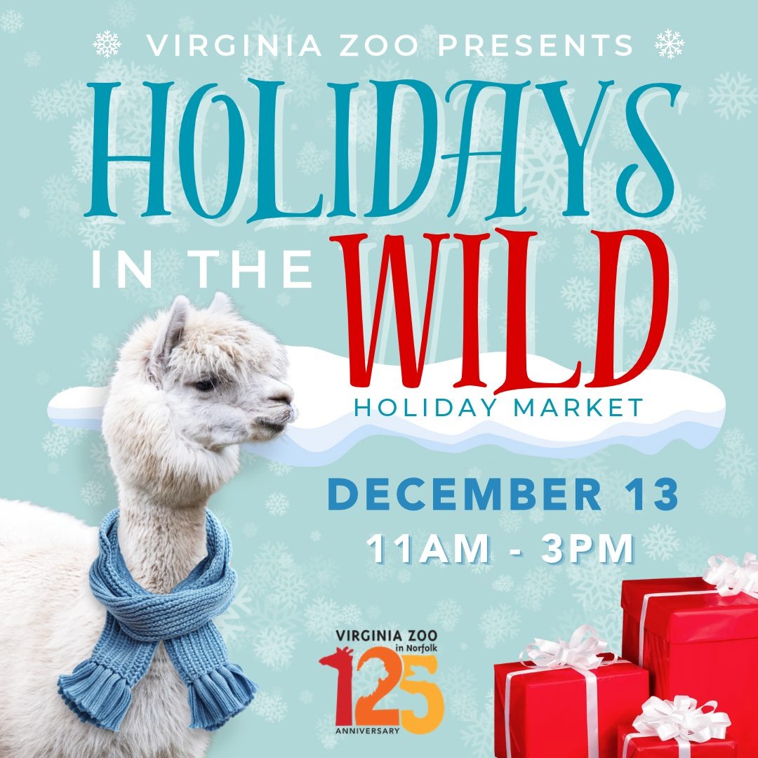 Holidays in the Wild: Holiday Market