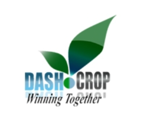 Dashfoods