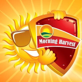 Morning Harvest 
