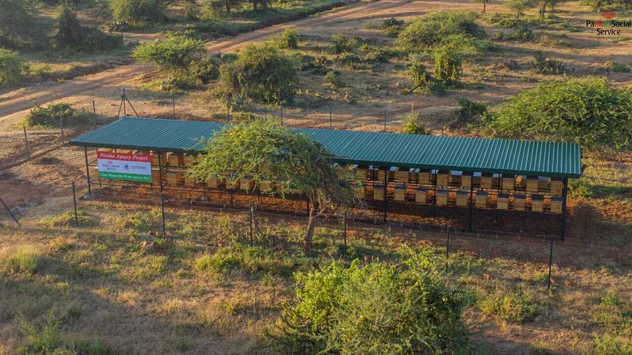 Moyo