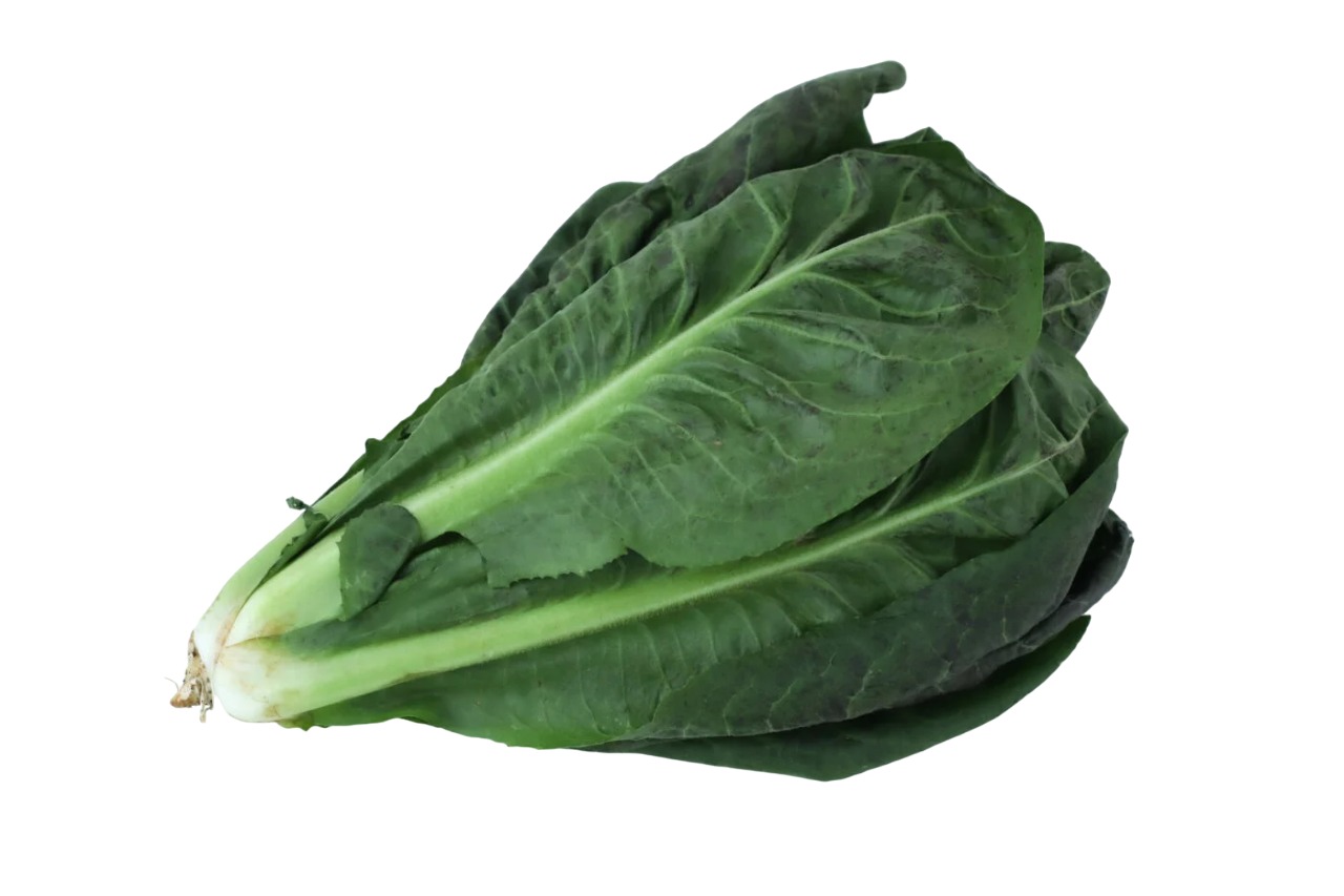 Organic Radicchio