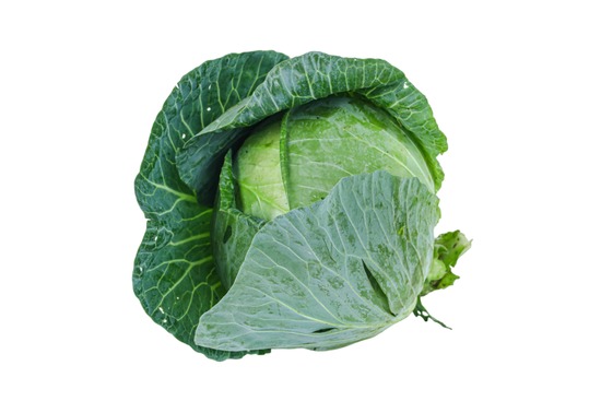 brand-image