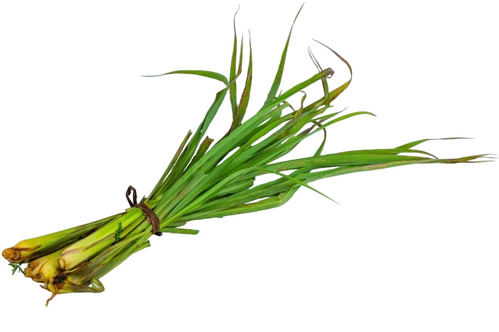 Organic Lemongrass