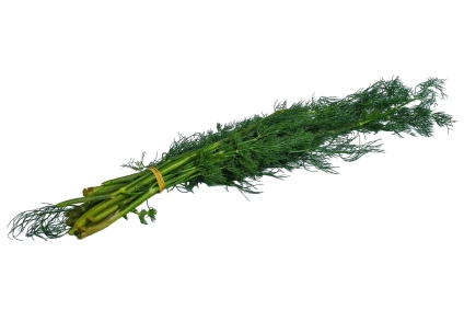 Organic fresh Dill
