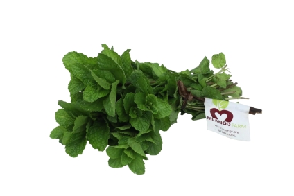 Organic Mint Leaves