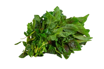 Mlango Farm Organic African Amaranth (Terere)