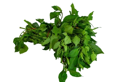 Mlango Farm Organic Managu