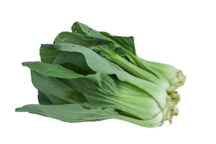 Organic Pak Choy