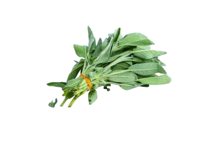 Organic Sage Leaves