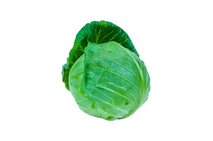 Organic Cabbage (Large)
