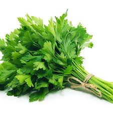 Flat Parsley