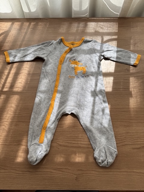 Cathy's Preloved 3 soft onesies - 6M (scroll)