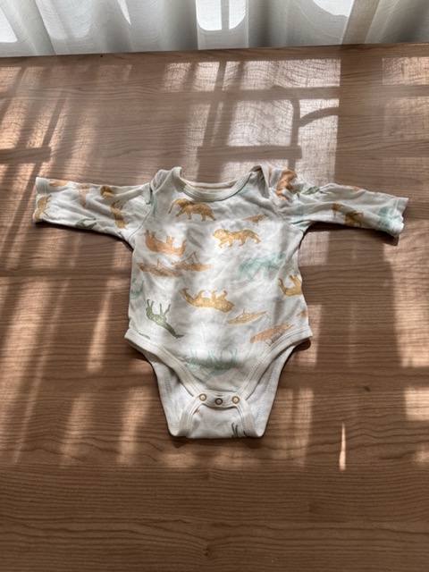 Cathy's Preloved 5 vests for warmth (scroll)