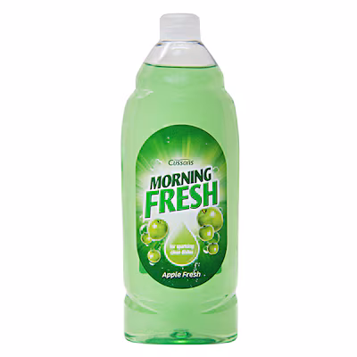 Morning Fresh Apple Slice Dishwashing Liquid