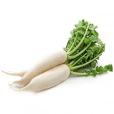 Garden-fresh White Radish