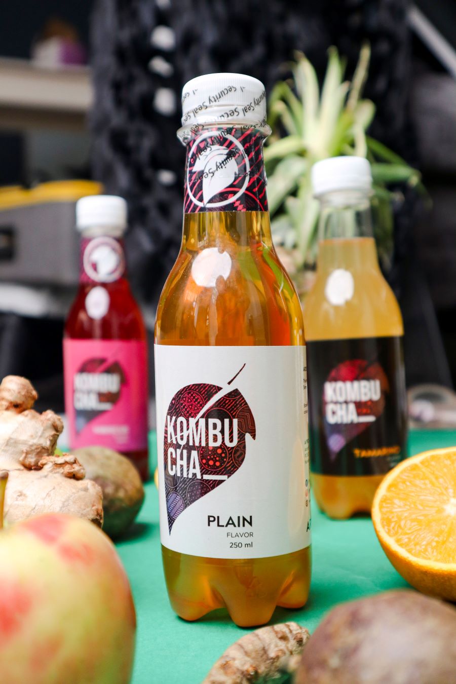 Plain Classic Kombucha